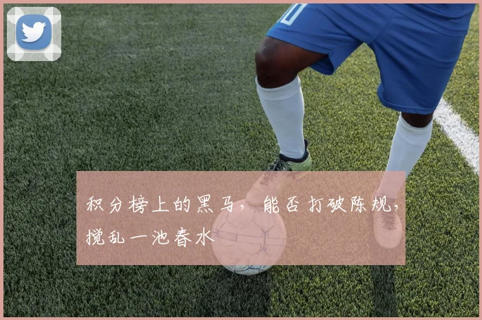 积分榜上的黑马，能否打破陈规，搅乱一池春水